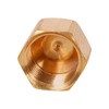 Everflow 1/4" Flare End Cap Pipe Fitting; Brass F40-14